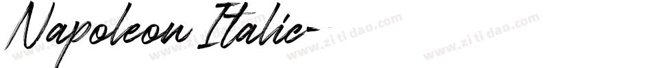 Napoleon Italic字体转换